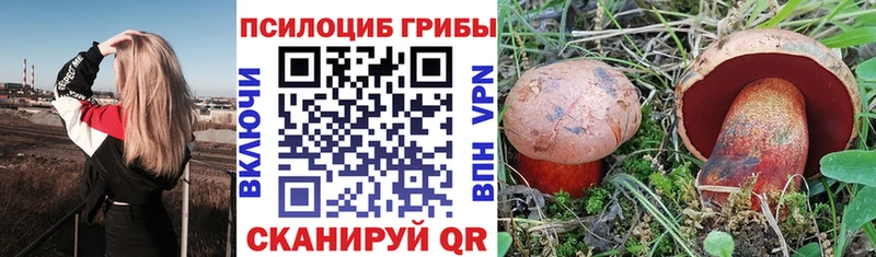 Псилоцибиновые грибы ЛСД  Купить где  Красноярск 